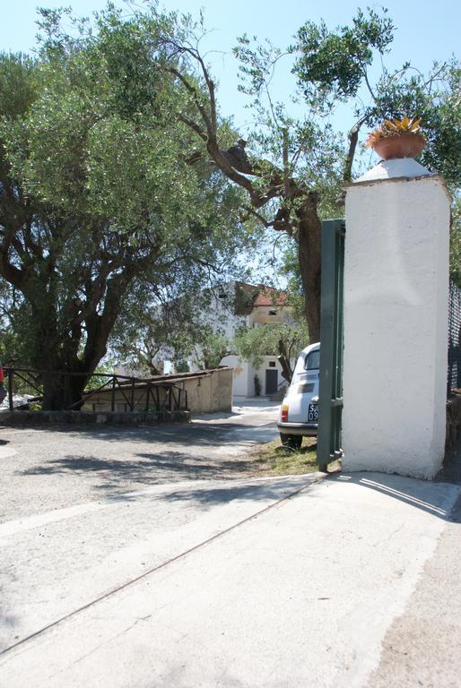 Gasthaus Santo Mercurio Country House Pisciotta Exterior foto