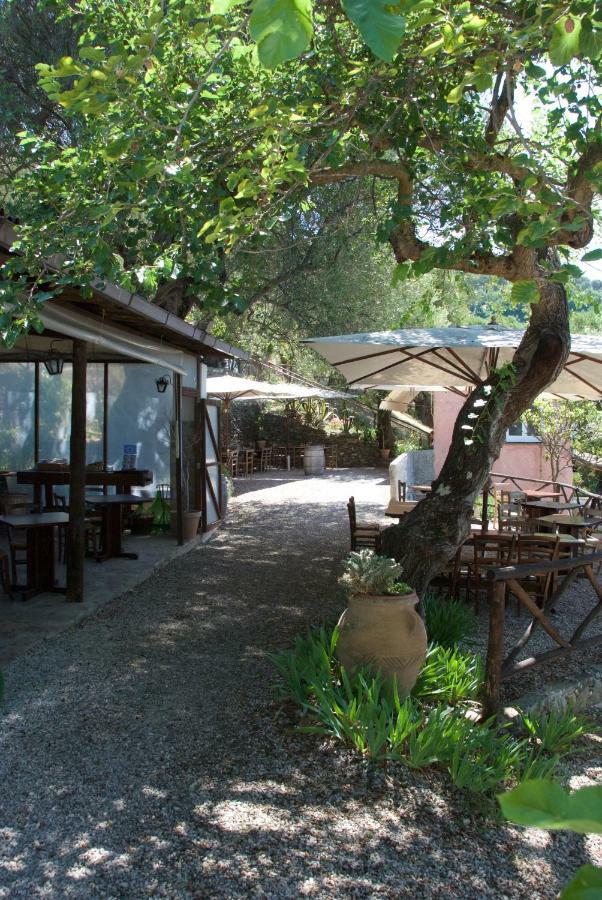 Gasthaus Santo Mercurio Country House Pisciotta Exterior foto