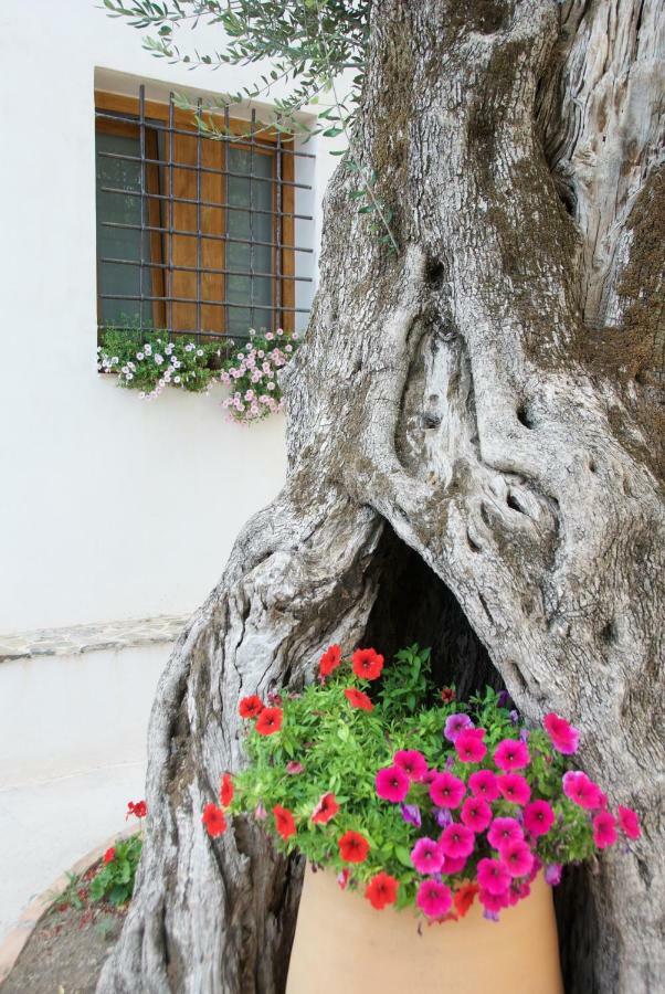 Gasthaus Santo Mercurio Country House Pisciotta Exterior foto